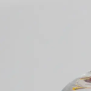 TheGallery_02.png