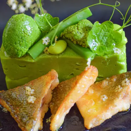 Pan-fried-Seabassgreen-bean-Wasabi-Terrine-with-Elderflower-reduction-7.png