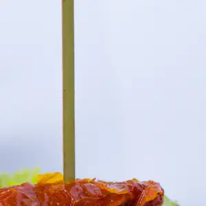 Canape_Menu_07.png