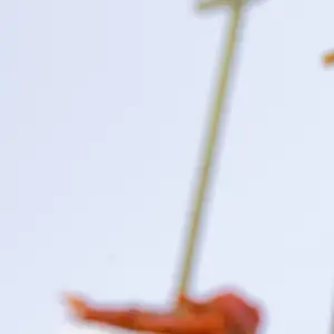 Canape_Menu_02.png