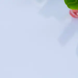 Canape_Menu_08.png