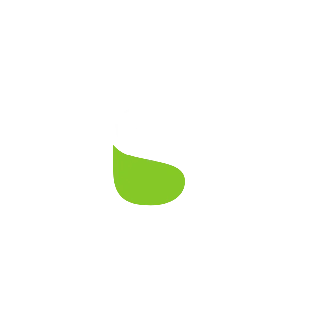 DS_Partner.png