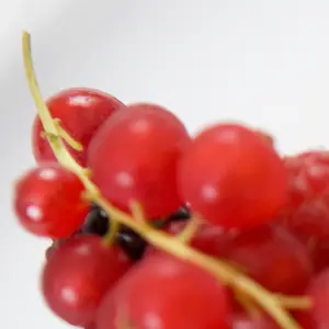 Dessert_Menu_02.png